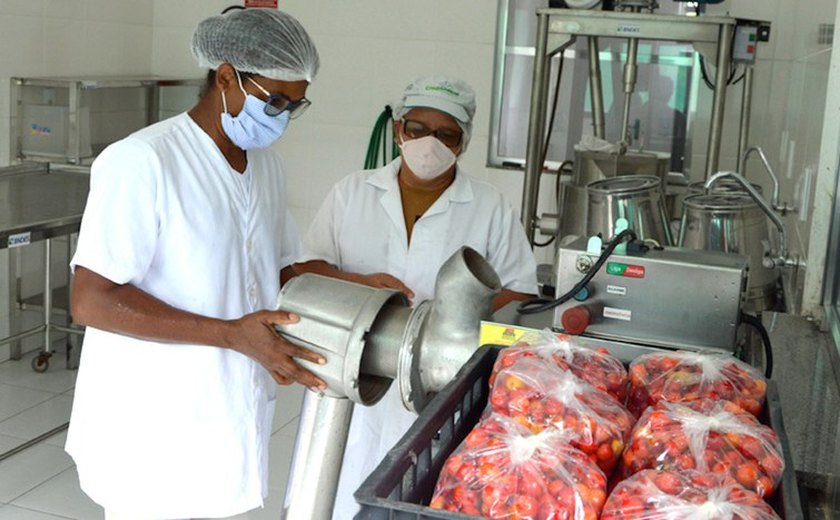 Programa de educação na reforma agrária abre inscrição para curso técnico em Alagoas