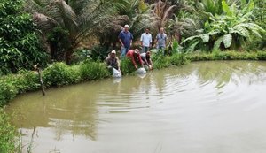 AL recebe 50 mil alevinos para a venda e sustento de comunidades