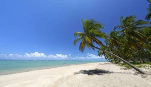 Pure Beach: Inscrições para torneio de tênis mais sustentável seguem abertas em Alagoas