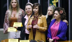 Pressão da bancada feminina altera texto da reforma da previdência