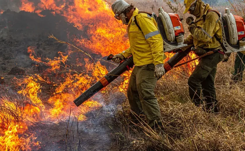 Pré-COP: Brasil propõe resposta global a incêndios florestais