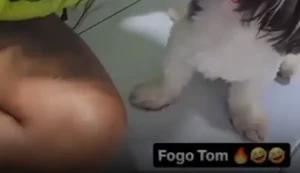 Tutora que forçou cão a inalar entorpecente é identificada