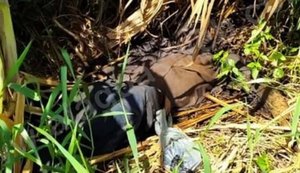 Corpo de idoso desaparecido há quase 20 dias é achado na zona rural de Coruripe