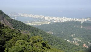 Cientistas dizem que Brasil pode ser líder em desenvolvimento sustentável