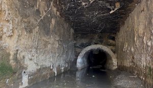 Ilha do Ferro tem água própria para consumo, mas sofre com despejo de esgoto no Velho Chico