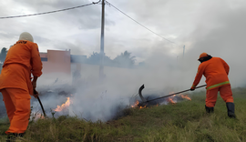 Bombeiros combatem incêndio em vegetação em União dos Palmares