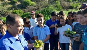 Planta é usada para recuperar nascentes em Cacimbinhas
