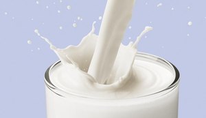 Programa do Leite: deputados estaduais cobram pagamento de pequenos produtores