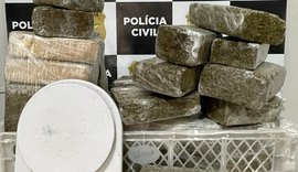 PC autua homem preso com 17 kg de maconha no Jacintinho