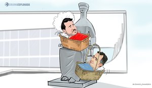 Pacheco × 'Bessias'