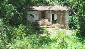 Convívio Social remove estrutura irregular construída em área verde no bairro Petrópolis