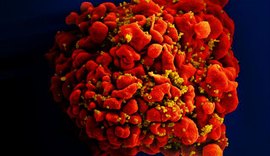 OMS alerta para alta nos casos de resistência do vírus HIV