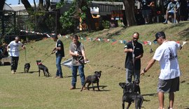 ABRAPIT realizou grande evento de exposição de cães da raça American Pit Bull Terrier em SP