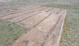 Área desmatada equivalente a 700 campos de futebol é embargada em Alagoas