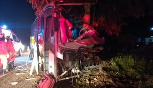 Três pessoas morrem e três ficam gravemente feridas após ônibus colidir em árvore