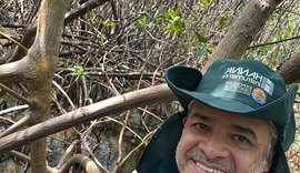 Ufal integra projeto para restauração ecológica dos manguezais amazônicos