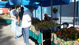 Feiras livres no interior de Alagoas são desafio para gestores municipais