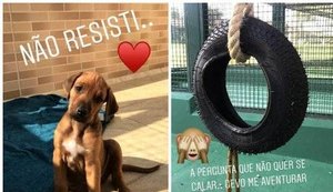 Latino adota cachorro e novo macaco, após morte de Twelves