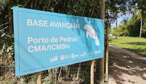 Peixes-boi em risco: mortes em Alagoas e estudo apontam ameaças críticas