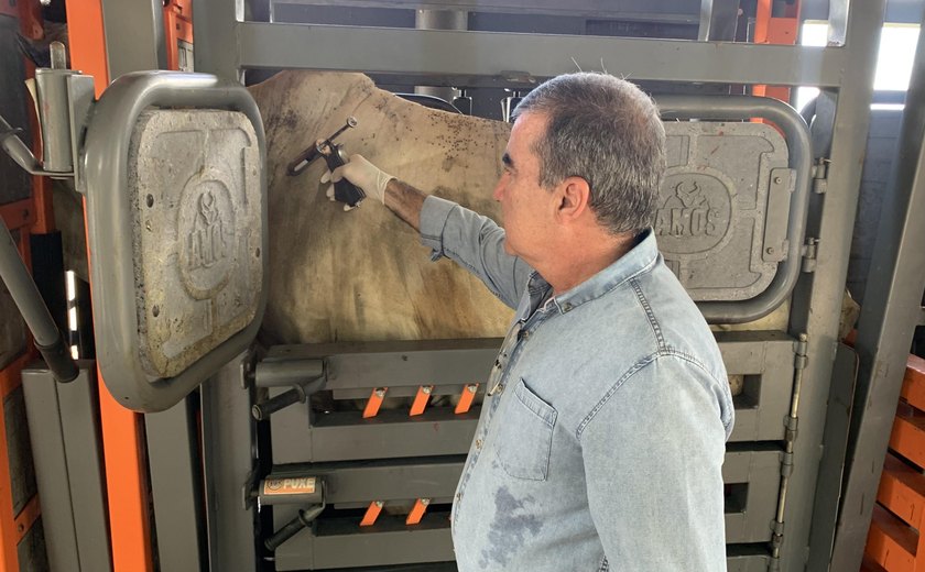 Prazo para a declaração da aftosa se encerra na próxima quarta-feira