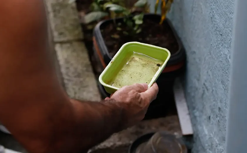 Chikungunya traz preocupações após uma década de presença no Brasil