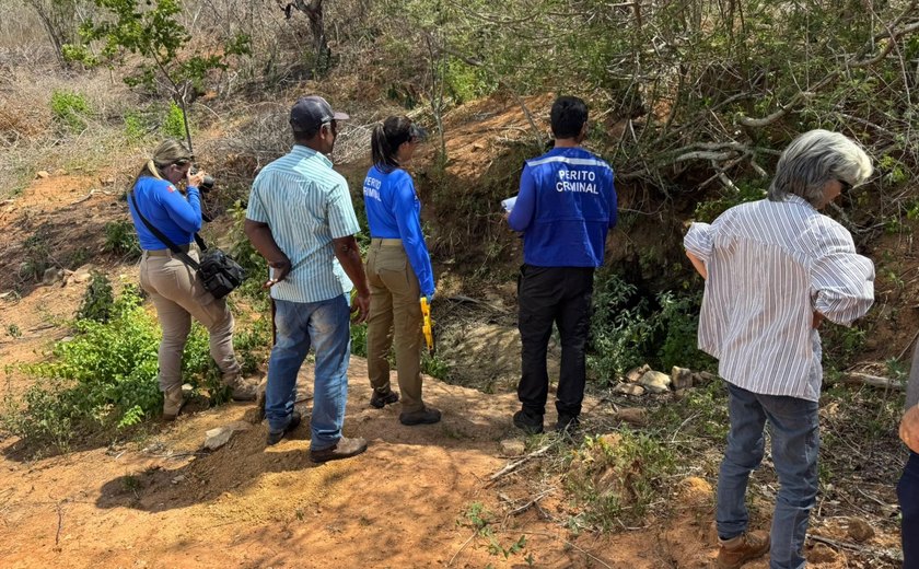 Polícia Científica realiza perícia em área de incêndio florestal e desmatamento em Água Branca