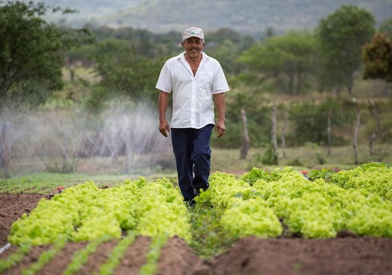 Sertão de AL recebe evento internacional sobre mudanças climáticas no semiárido