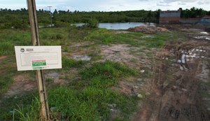 Área de manguezal é aterrada para venda de lotes em Maceió