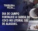 Dia de Campo impulsiona cultura do coco em Alagoas