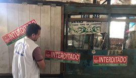 Vigilância Sanitária interdita estabelecimento de produtos naturais no Mercado Público do Jacintinho