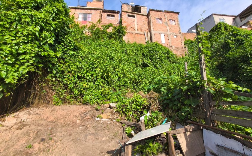 Serviço Geológico do Brasil indica que Arapiraca possui 13 áreas de risco