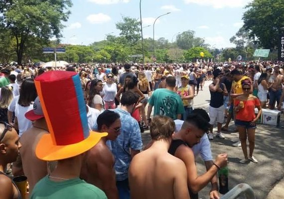 Monobloco agita o pré-carnaval de São Paulo