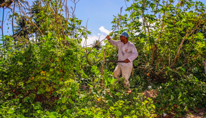 Cooperativa Dinâmica realiza mutirões de limpeza em Marechal Deodoro