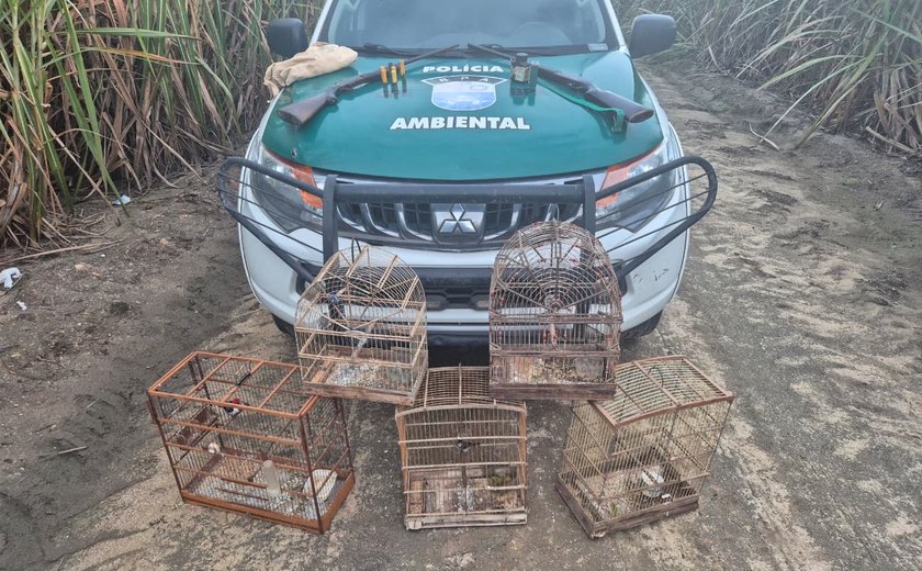 PM/AL resgata mais de 250 animais silvestres e apreende oito armas em operações ambientais