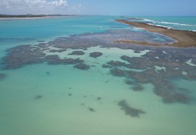 Pesquisa em Maceió e Japaratinga ouve turistas para mapear hábitos, preferências e experiências de viagens