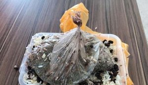 Mulher é presa tentando entrar com drogas na Casa de Custódia