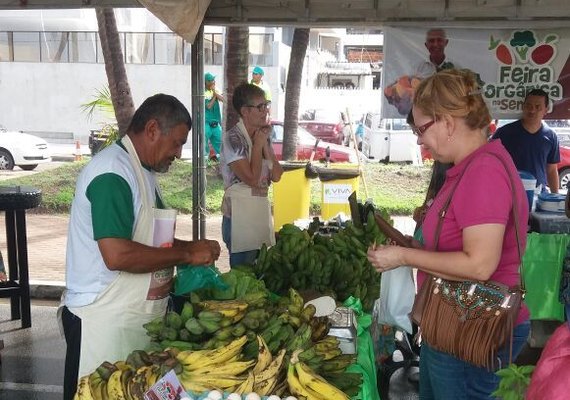 Semana do Meio Ambiente conta com feira orgânica e exposições em Maceió