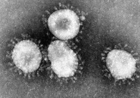 CNJ apresenta relatório que aponta eficácia incerta de hidroxicloroquina e cloroquina