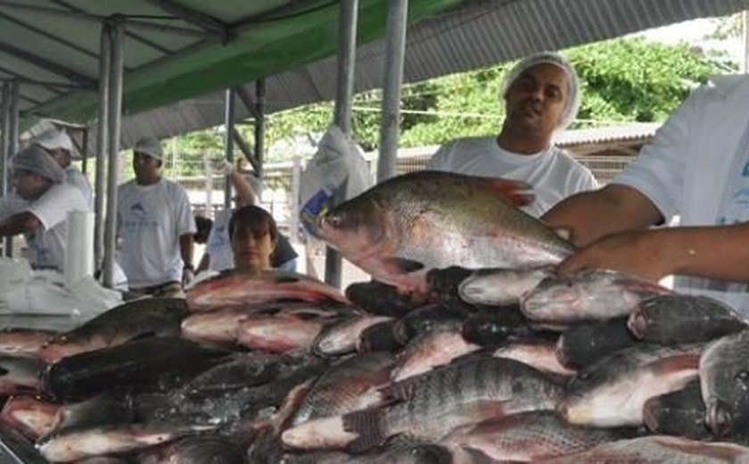 Feira do Peixe Vivo acontece nesta quarta e quinta-feira em Maceió