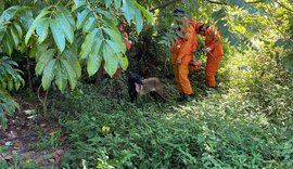 Polícia Civil realiza buscas para localizar jovem desaparecido em Guaxuma