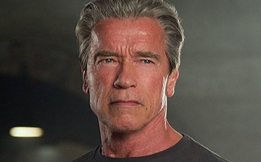 Avião de Arnold Schwarzenegger faz pouso forçado na Inglaterra