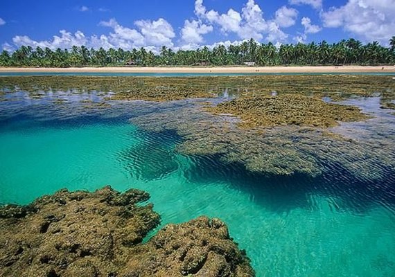 Metade dos brasileiros com intenção de viajar nos próximos meses irá para o Nordeste