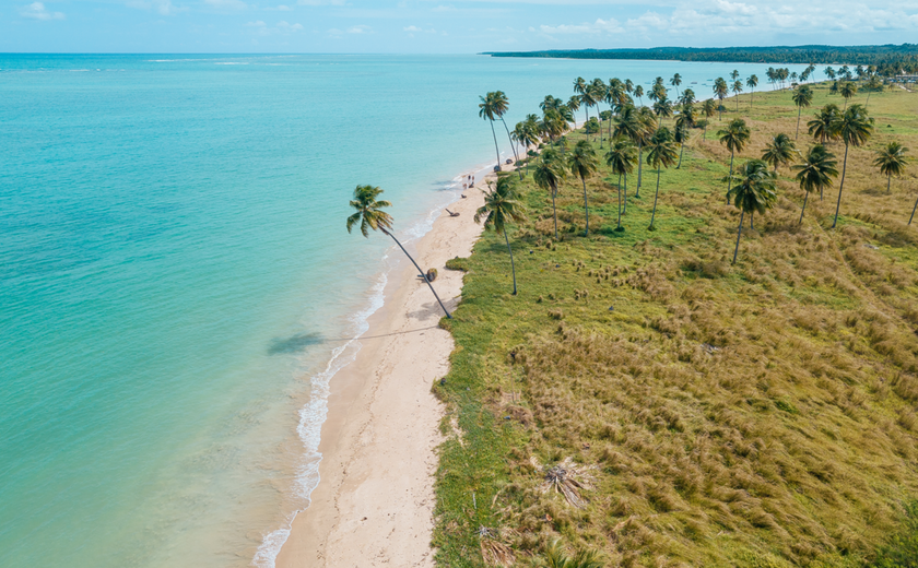 Praia do Patacho recebe renovação do título internacional de sustentabilidade 'Bandeira Azul'