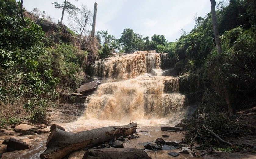 Número de mortos após queda de árvore em cataratas em Gana sobe para 20