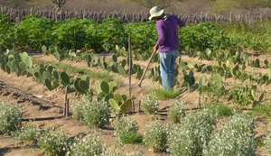 Agricultores de Canapi/AL festejam ação do prefeito junto ao Pronaf