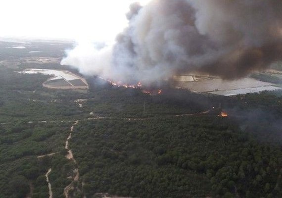 Incêndio ameaça parque nacional espanhol, patrimônio da humanidade