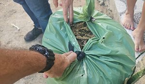 Suspeito de homicídio é preso com 25 kg de maconha armazenada em casa