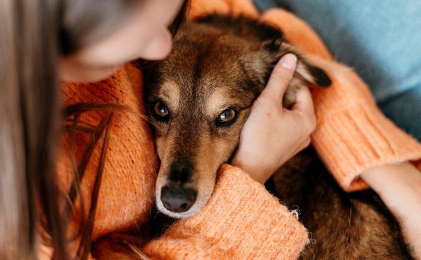 Maus tratos à animais: Brasil registra 601 casos judiciais somente no mês de janeiro, segundo levantamento inédito do Escavador