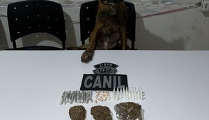 PM/AL apreende 33 armas e quase 14 quilos de drogas em uma semana