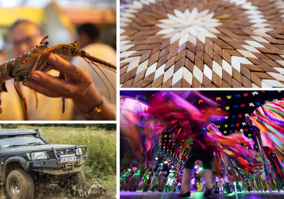 Novembro está recheado de eventos culturais, gastronômicos e esportivos em todo o Brasil